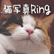 �L�ʐ^Ring
