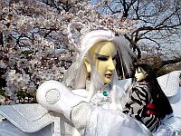霹靂花見会