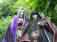 霹靂紫陽花会